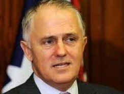 Wentworth poll shows 75% favour full equality