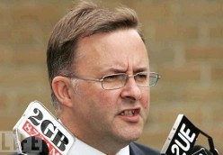 Albanese stays silent on marriage equality