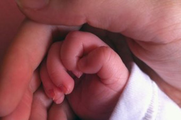 Advocates welcome overwhelming suport for gay adoption bill in Tasmanian Lower House