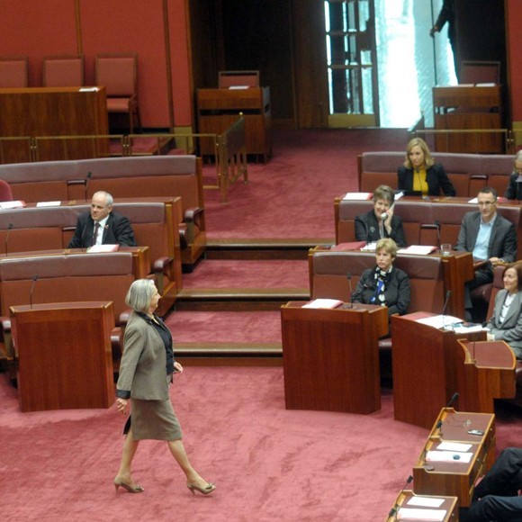 Liberal Senator Sue Boyce Crosses Floor on Same-Sex Marriage Bill