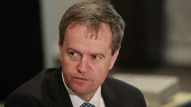 Media Release: Advocates Congratulate Bill Shorten on ALP Opposition Leader Election