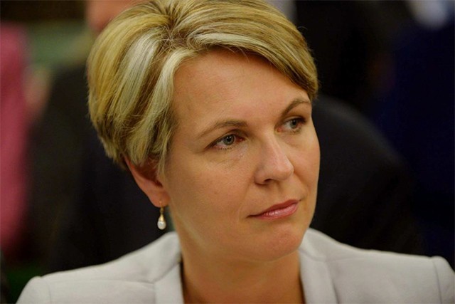 Tanya Plibersek: I won’t Rush Marriage Equality Bill