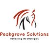 Peakgrove Solutions