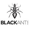 Black Ant Films